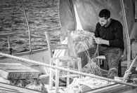 BOURGEOIS_MG_1653