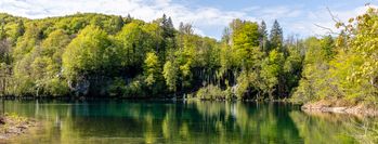 _L8A9647--Parc des lacs de Plitvice