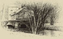 _MG_0866-Modifier