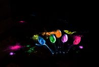 _MG_0937-Modifier