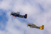 _MG_1337-2