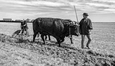 _MG_4246-Modifier_DxO-Modifier-Modifier-Modifier