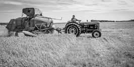 _MG_4259-Modifier_DxO-2-Modifier