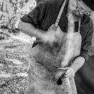 _MG_4381-Modifier-Modifier_DxO-Modifier