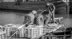 _MG_6083-Modifier