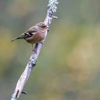 _MG_8376_DxO-Modifier