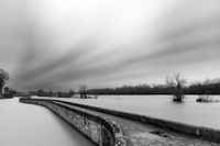 _MG_8817