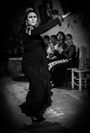 _MG_8841-Modifier