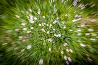 _MG_8846