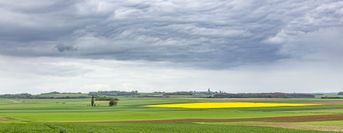 _MG_9311-Modifier