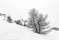 _MG_9356-la route du col d'Izoard-HDR