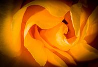 _MG_9396-Modifier