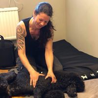  eddie får hundmassage