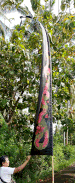 Flag 5m Color Bf1 Dragon print