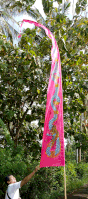 Flag 5m Color Bf16 Dragon print