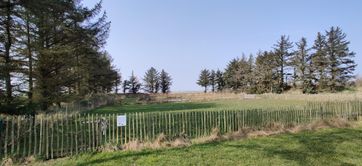 IMG_20220322_121330