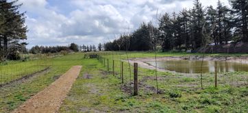 zwemvijver 2
