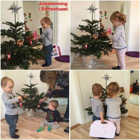 Der kigges på vores lille juletræ :-)