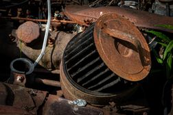 IMG_1901