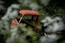 IMG_1965