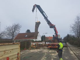 Træfældning i Vodskov