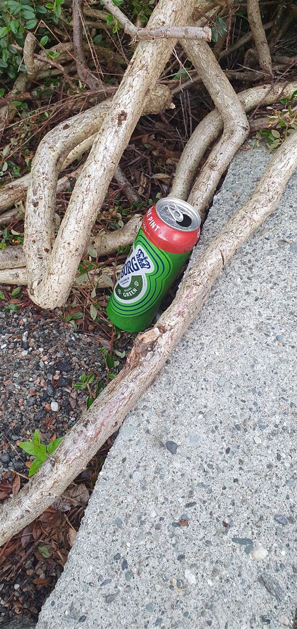 Dagens bilde 17.august: Root beer?