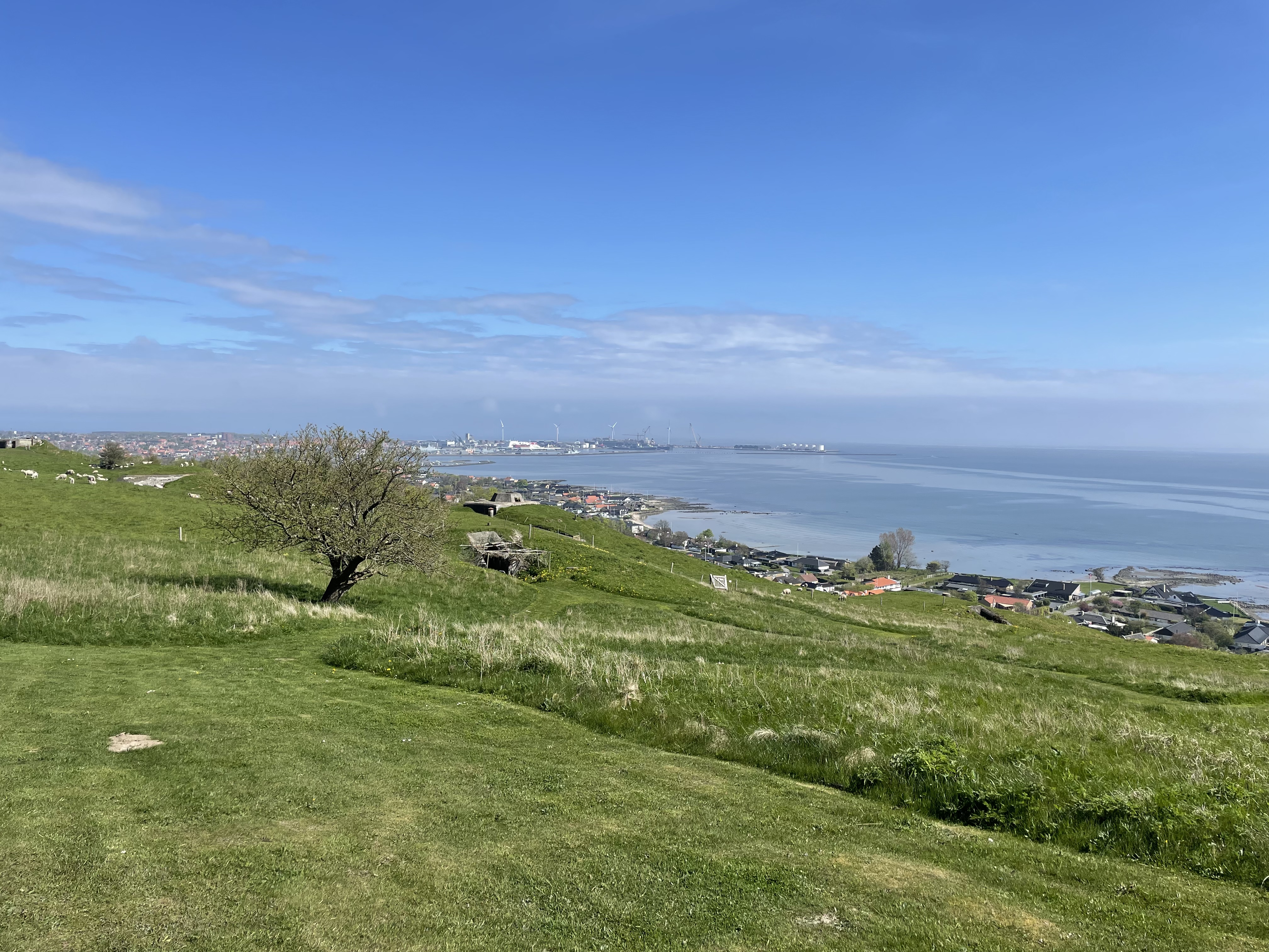 Danmark 12
