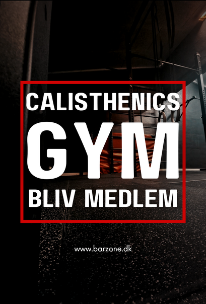 www.barzone.dk Calisthenics Gym, Vejle