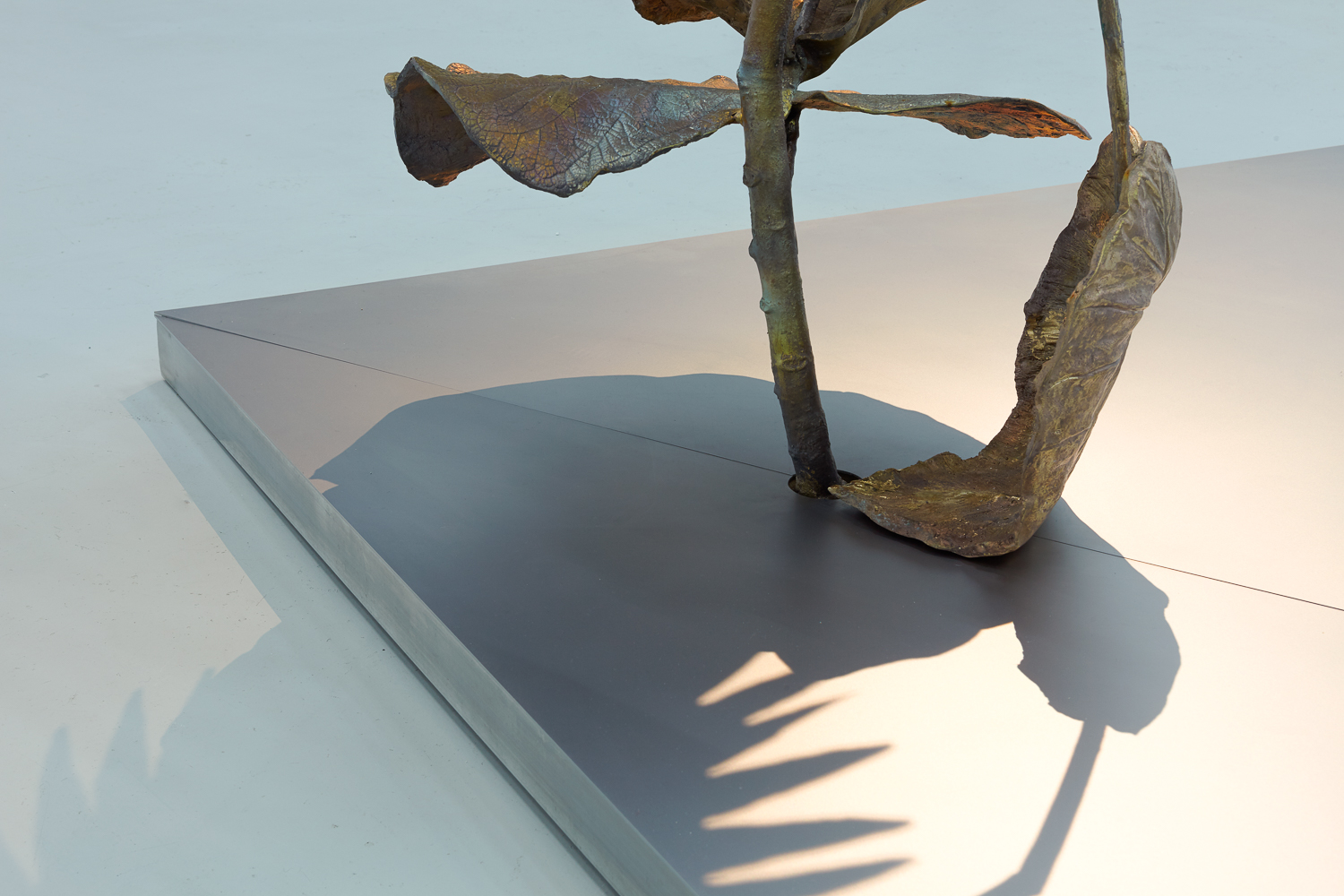 20171215_BaseAlpha_3170_AF