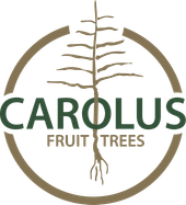 Carolus Trees