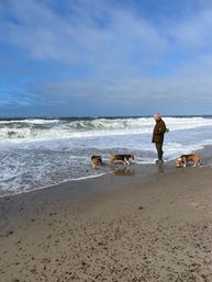 Ved stranden