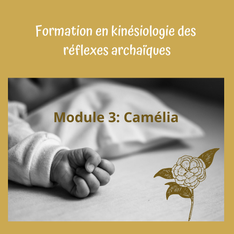 formation en K.R.A.