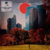 Shuko & damaa.beats - Central Park Chillin