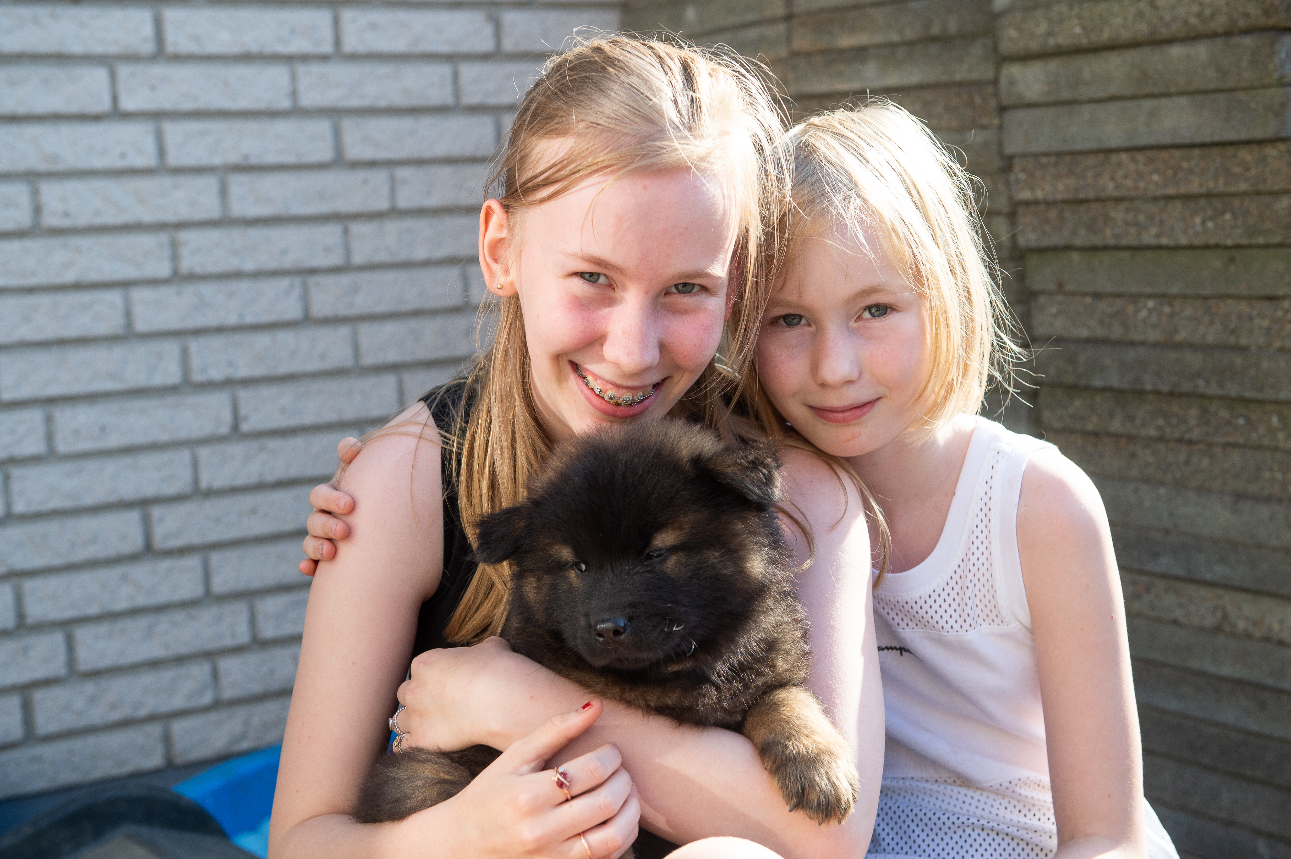 Baloo, Aimée & Bianca (Baloo 7 uger)