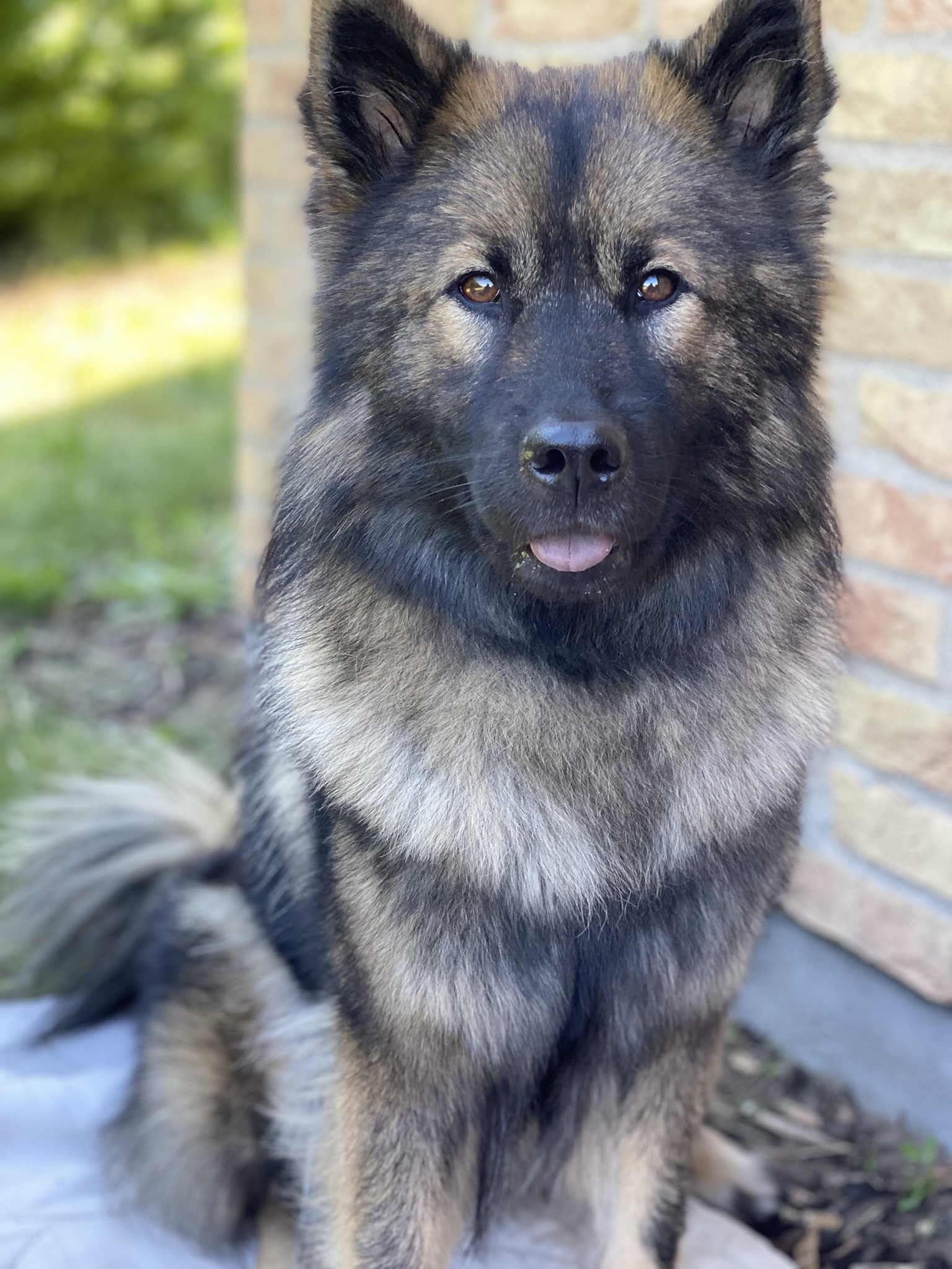 Becca - 3 år