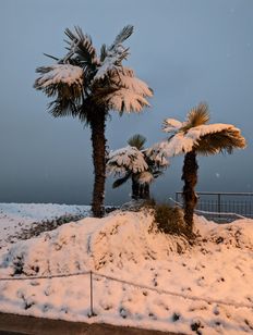 PXL_20221210_155312714