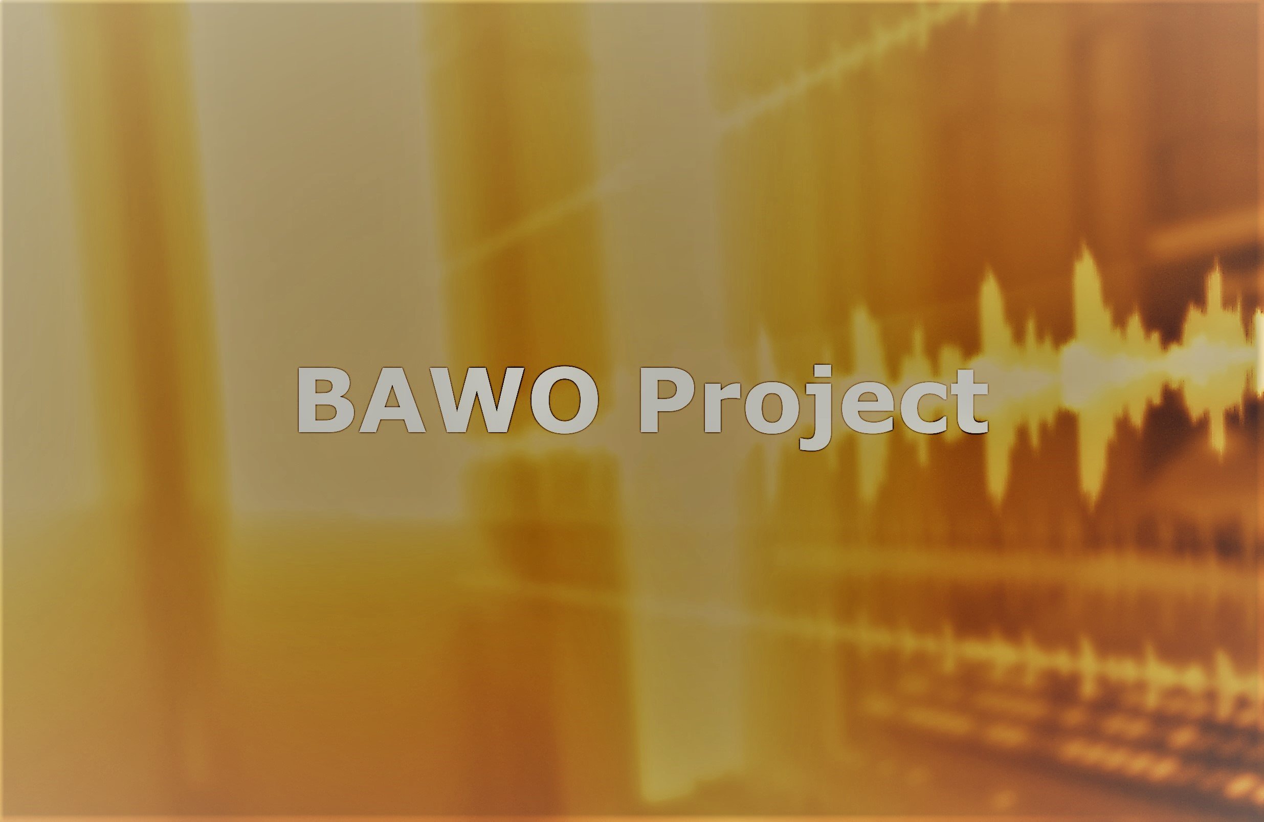BAWO Project