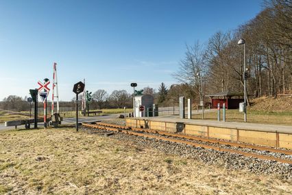 S042-003 Ny Mårumvej 259, Duemose trinbræt