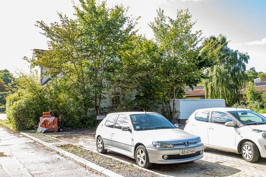 S150-020 Bymosen 5, Tisvilde 5D4_1010