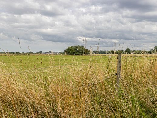 S009-04 Kikhavnvejen - Sandvejen, Kikhavn