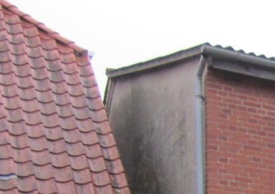 FOTO 2014