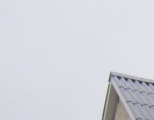 Foto 2012