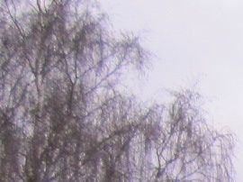 Foto 2012