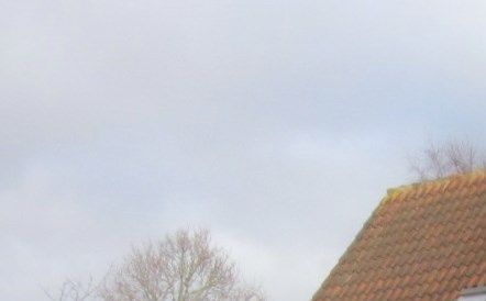 Foto 2014