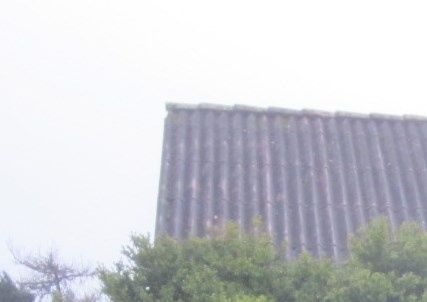 Foto 2014