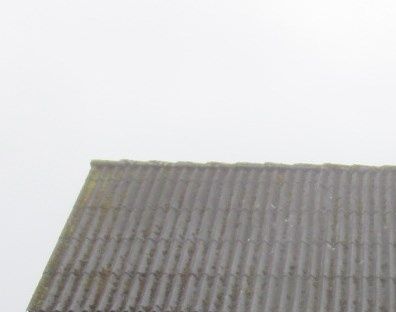 Foto 2014