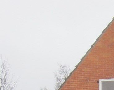 Foto 2014