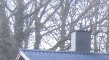 Foto 2014