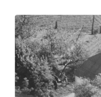 Foto 1949 & 2014
