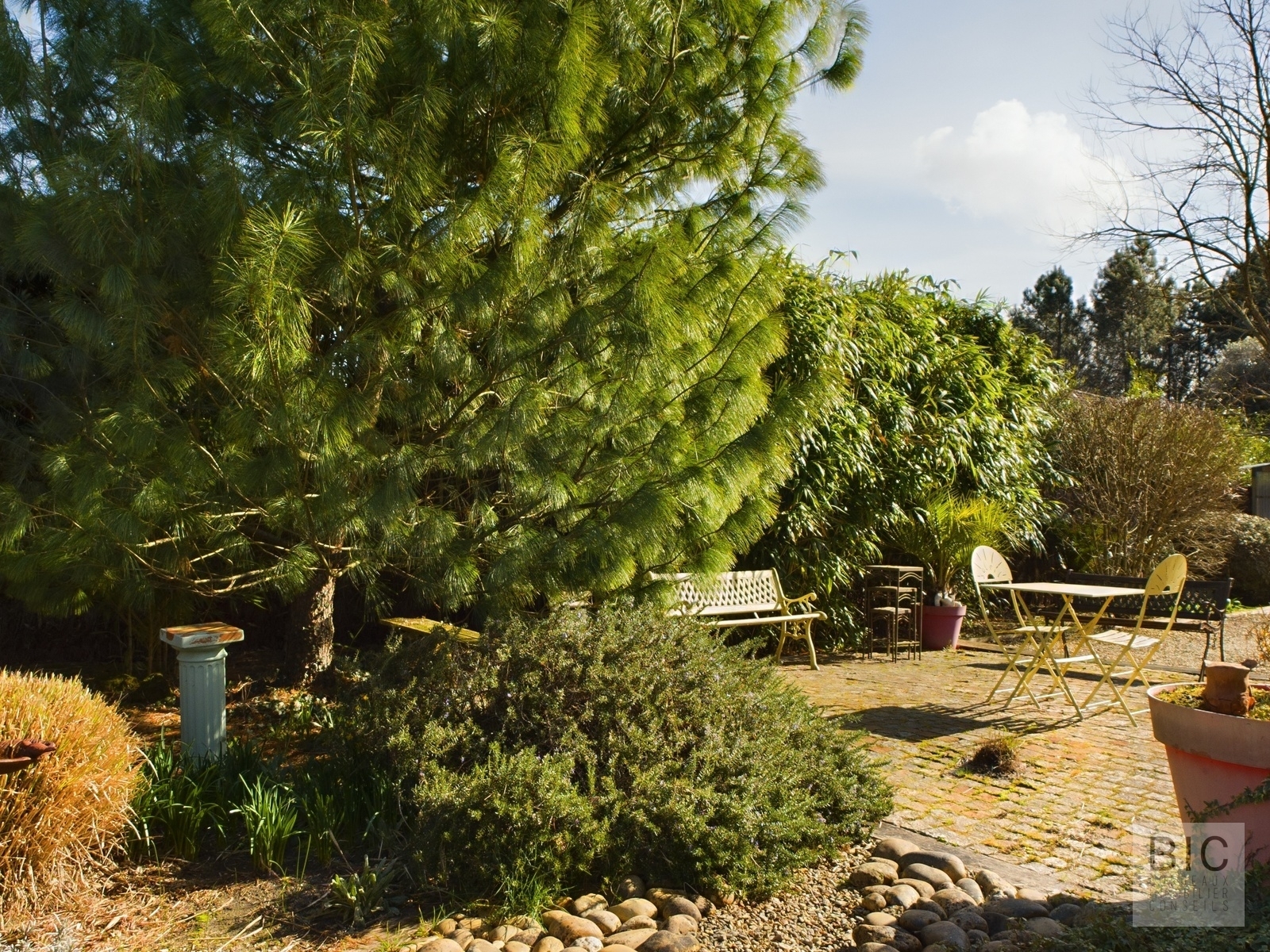 CAM03618G0-PR0061-STILL012